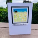 Blackbird in a Daisy field, Wishing you a very Happy Birthday Card