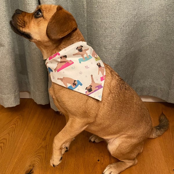 Yoga Pug dog bandana, over-the-collar style