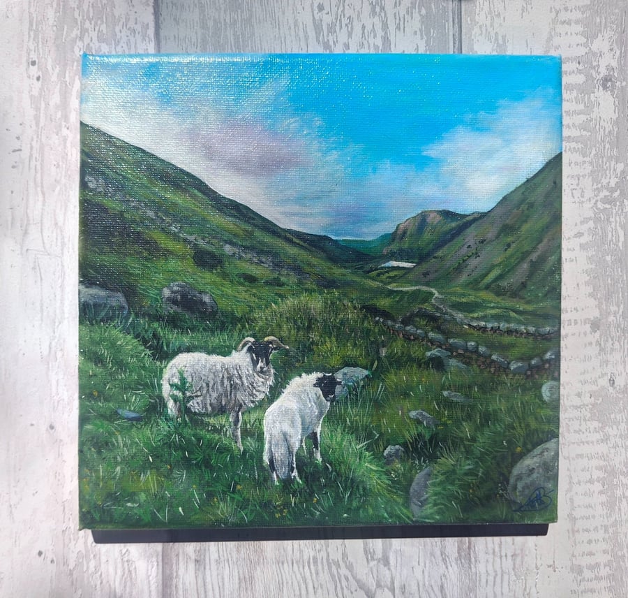 Sheep on Kirkstone Pass, Lake District 