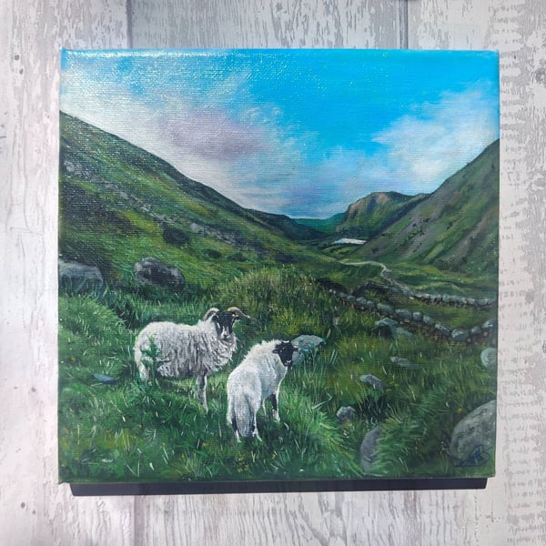 Sheep on Kirkstone Pass, Lake District 