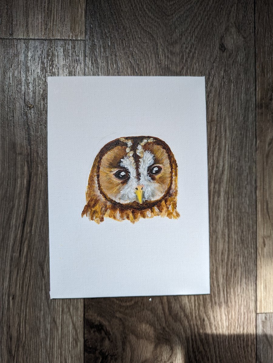 Tawny Owl Portrait Painting 