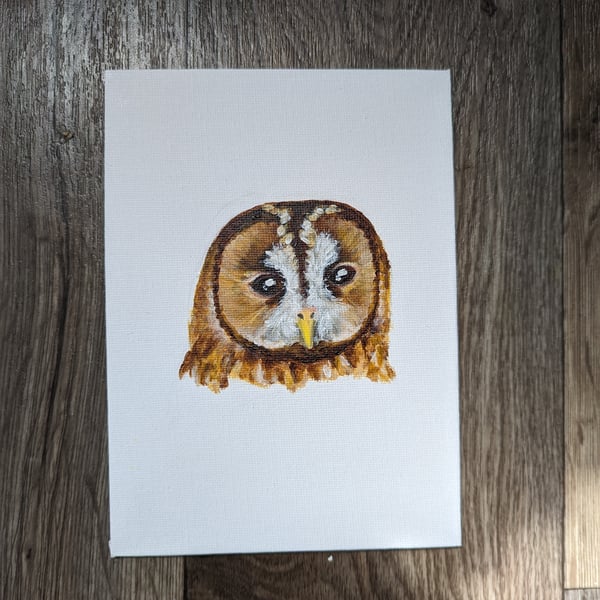 Tawny Owl Portrait Painting 