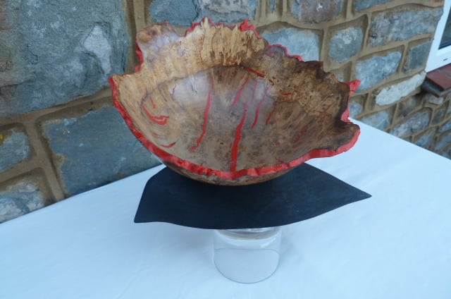 BURR OAK ON SCORCHED ASH