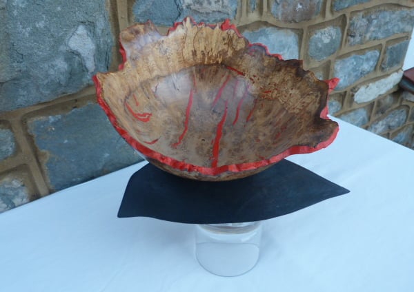 BURR OAK ON SCORCHED ASH