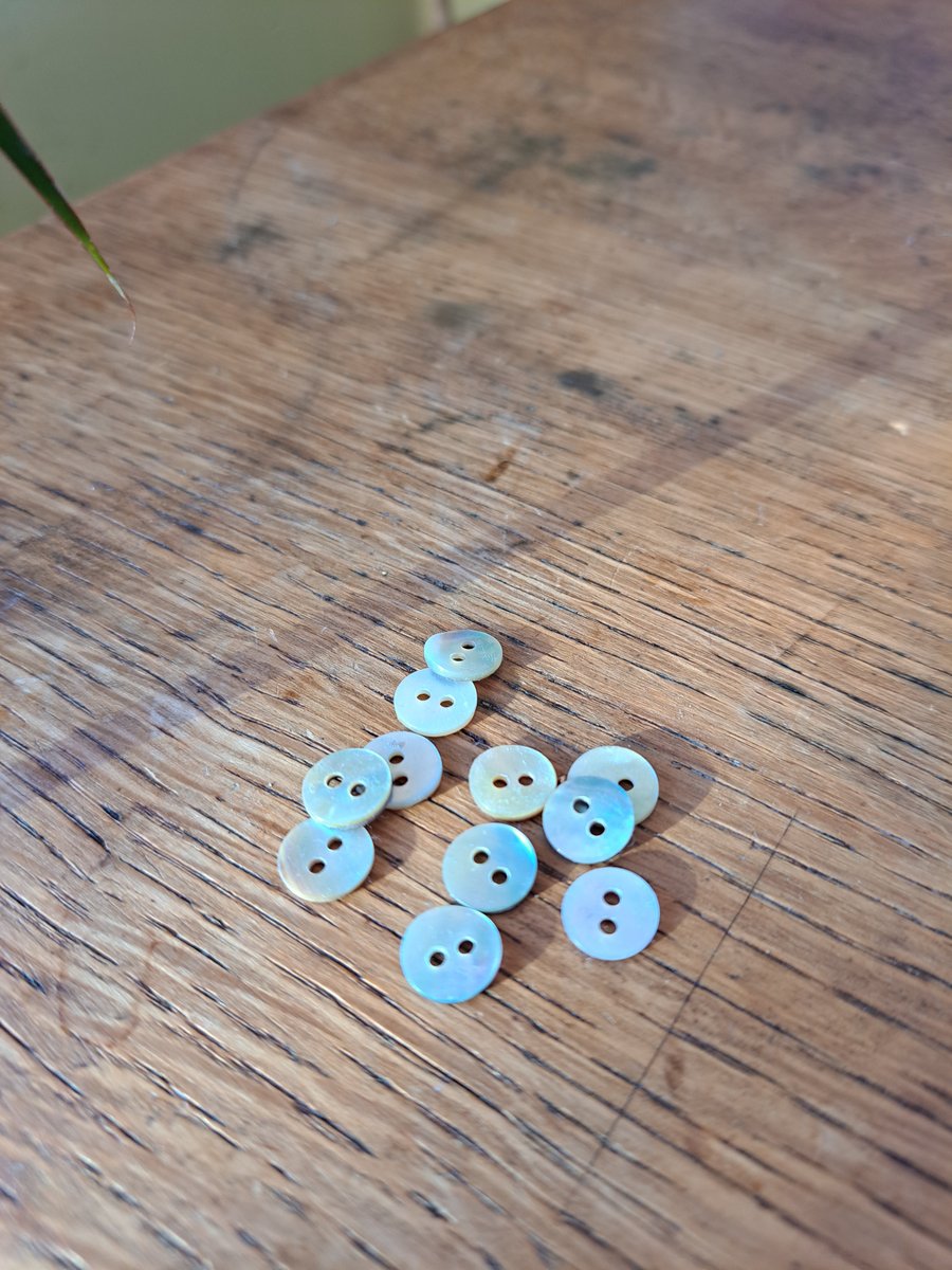 Reclaimed shell buttons