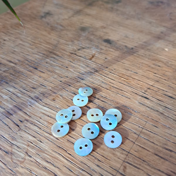 Reclaimed shell buttons