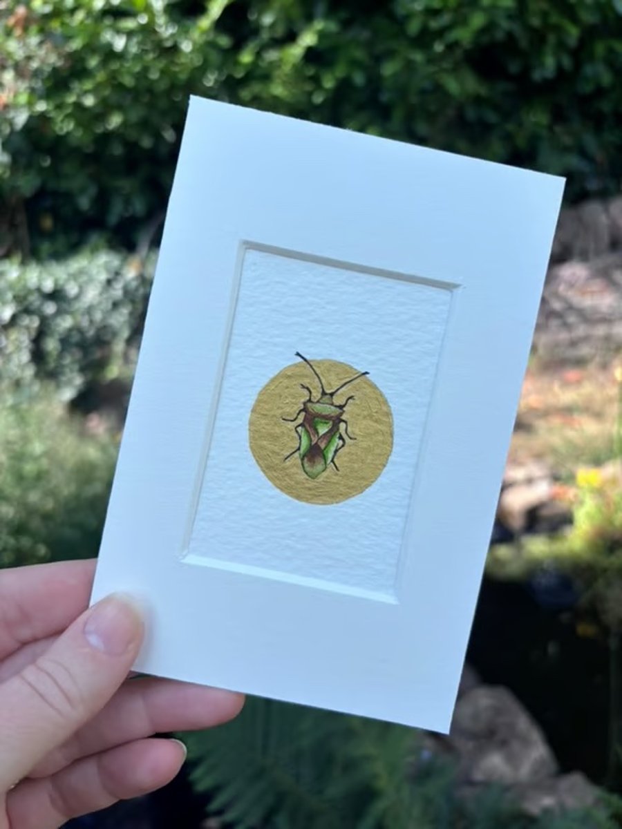 Original tiny miniature artwork ACEO British Shieldbug insect watercolour art.