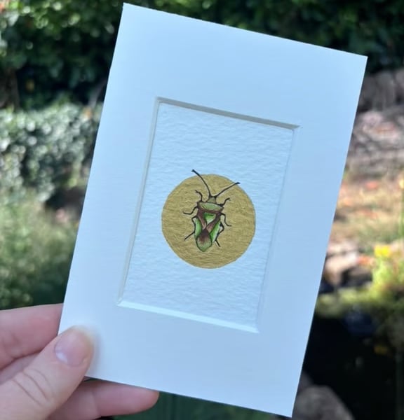 Original tiny miniature artwork ACEO British Shieldbug insect watercolour art.