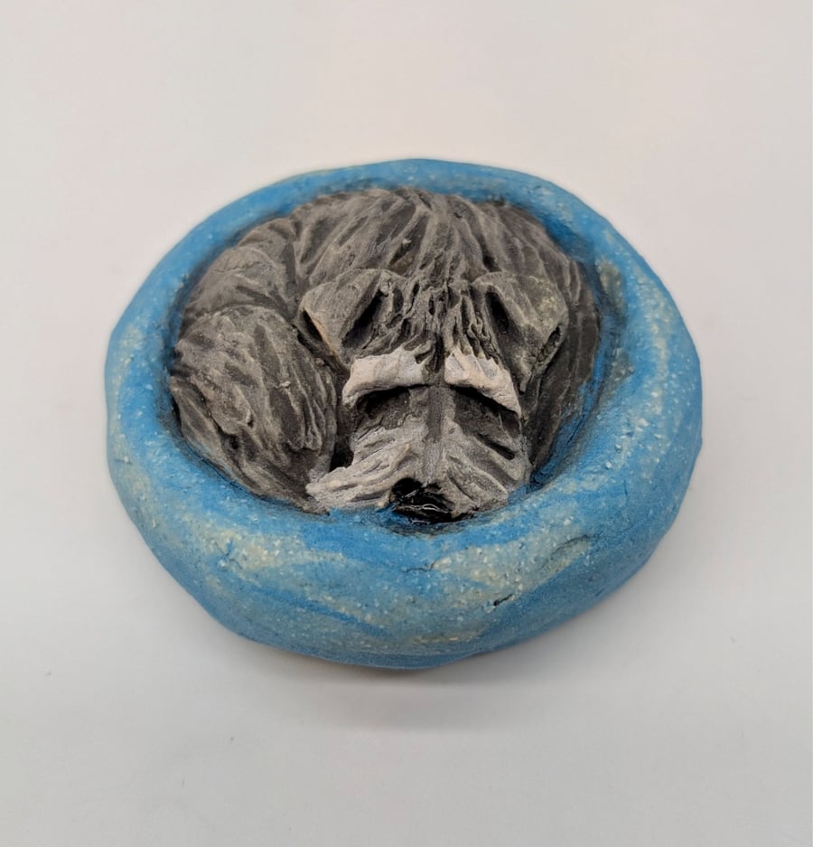 Yorkshire Pudding - Schnauzer