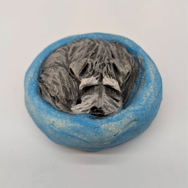 Yorkshire Pudding - Schnauzer