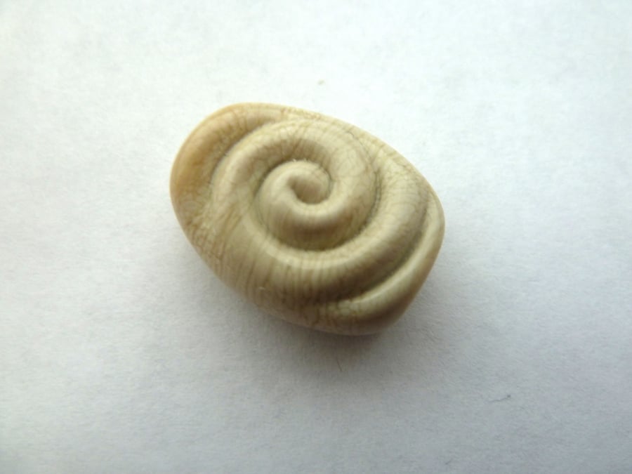 ivory spiral focal