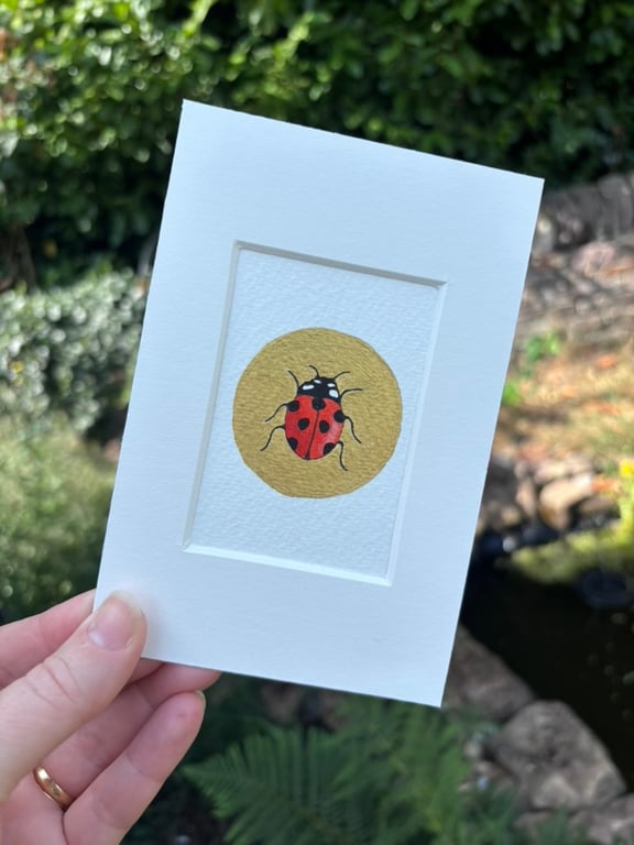 Original miniature ACEO watercolour painting ladybird British insect artwork 