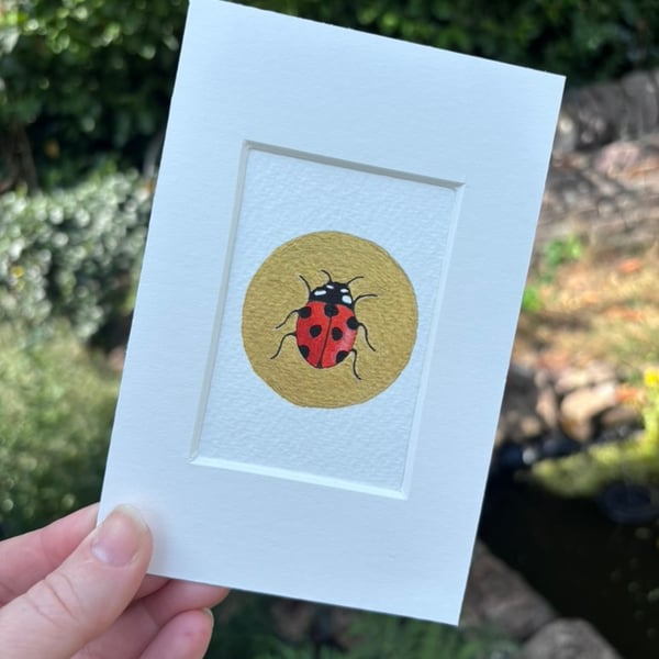 Original miniature ACEO watercolour painting ladybird British insect artwork 