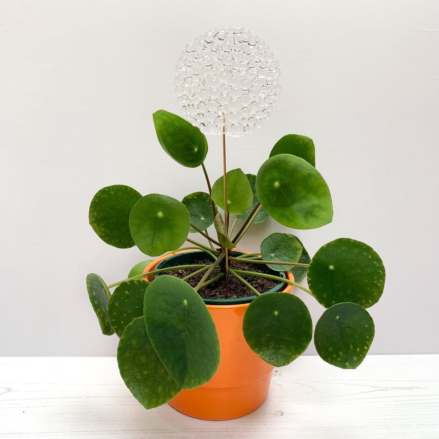 Blobby Round Fused Glass Houseplant Stake