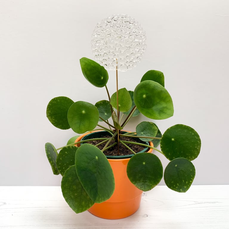 Blobby Round Fused Glass Houseplant Stake