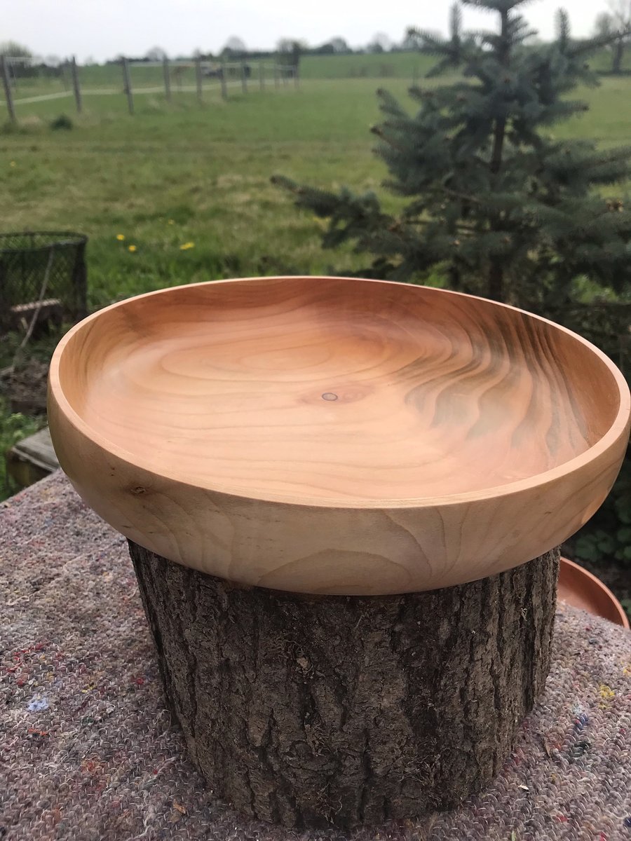 Wild Cherry fruit bowl.