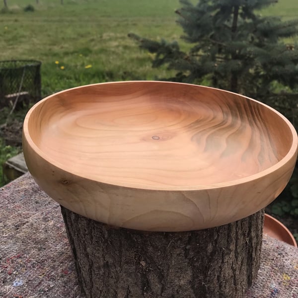 Wild Cherry fruit bowl.