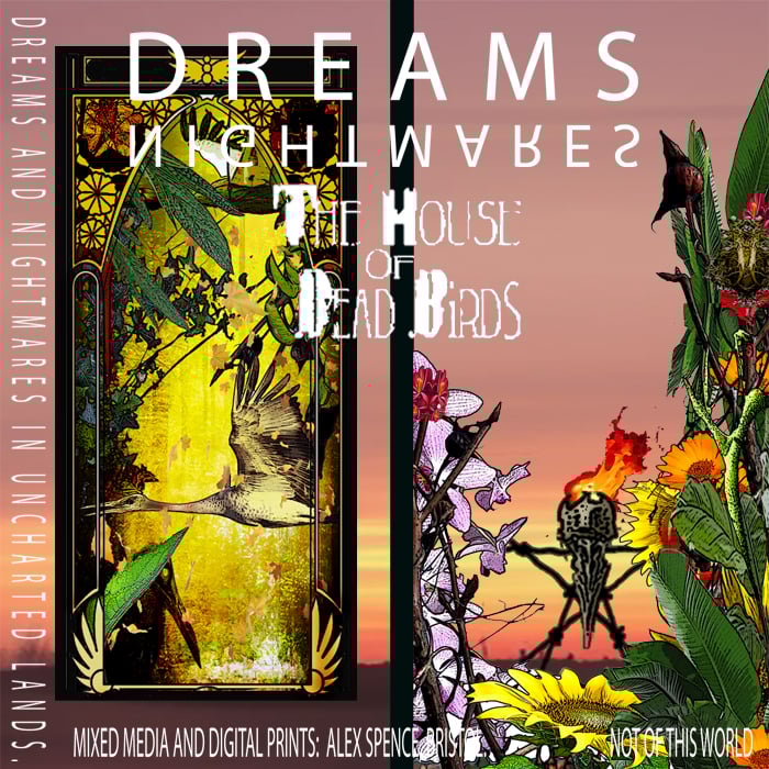 The House of Dead Birds