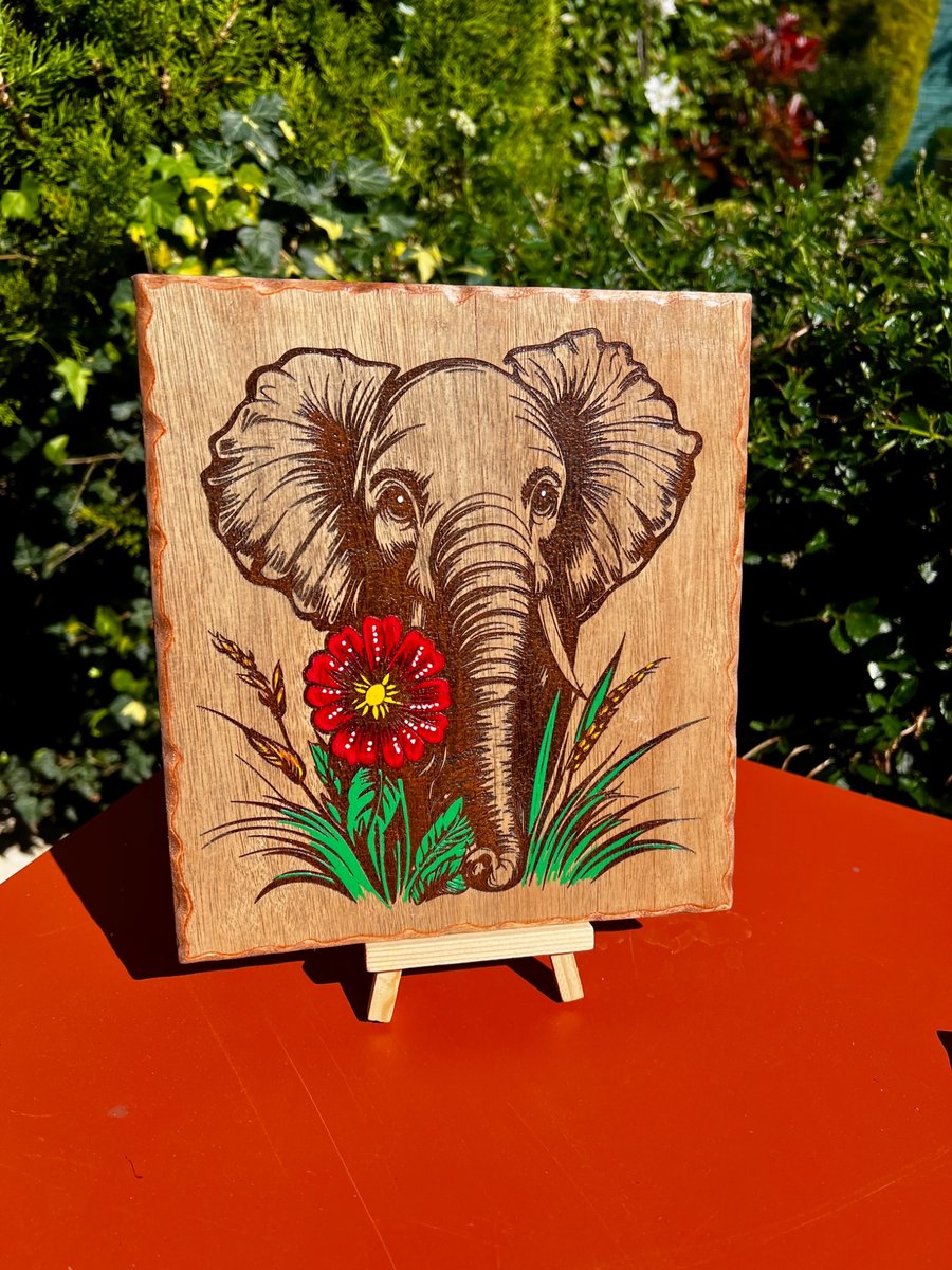  Elephant Wooden Plaque with Colour Splash – Bespoke Handmade Wall Art – Unique 