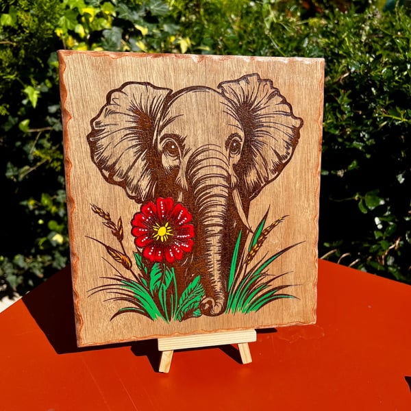 Bespoke wooden plaque. Elephant with a splash of colour 