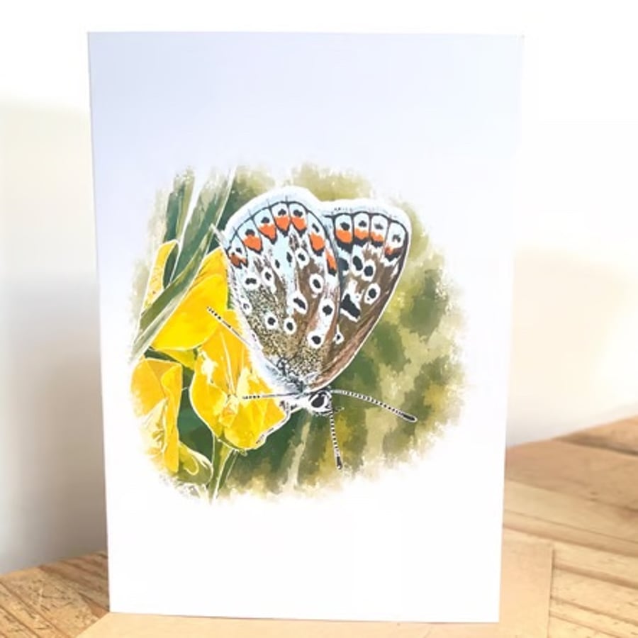 Blank Card A6 Portrait - Common Blue Folded Wings