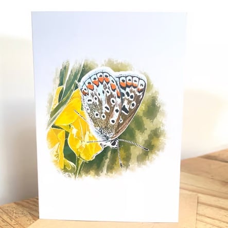 Blank Card A6 Portrait - Common Blue Folded Wings