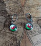 Wales Flag Earrings - Handmade Jewellery - Welsh - Cymru - Image 1