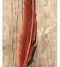 Fiery Phoenix - Image 7