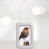 Robin, little 3D fabric robin picture framed in a tin, gift, ornament