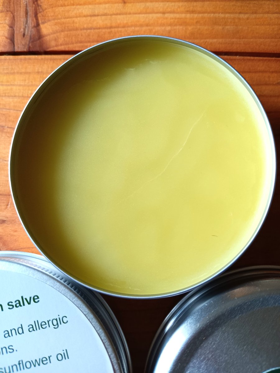 Burdock, dock, and plantain bite and itch salve