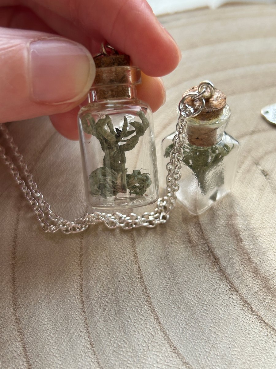 Lichen Oddity Jar Necklace 