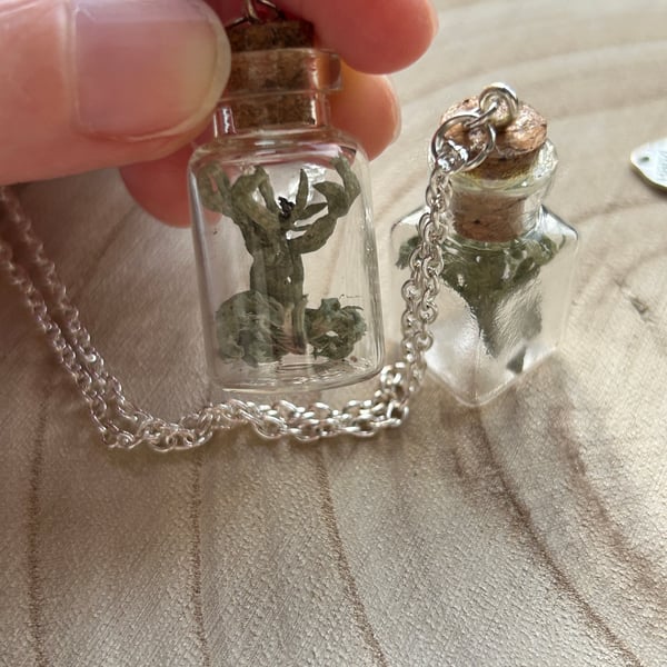 Lichen Oddity Jar Necklace 