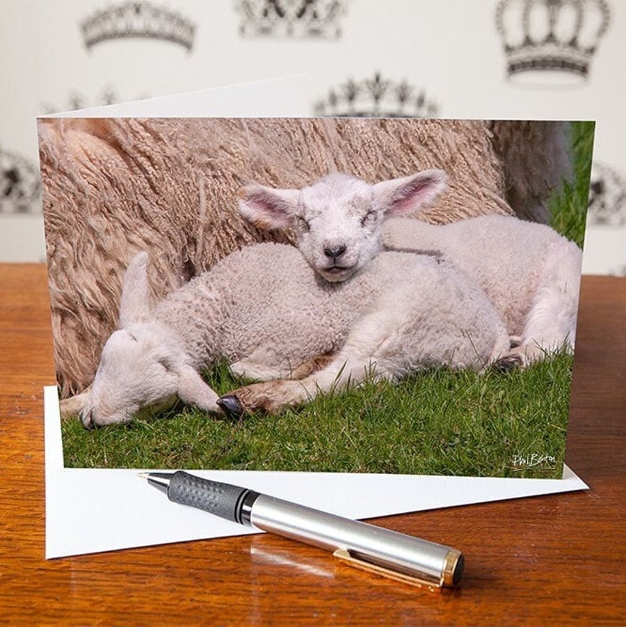 Sleeping Lambs Greetings Card - Cute Baby - Blank Inside - Birthday Card - Mothe