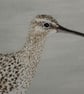 Curlew in frame - Image 3