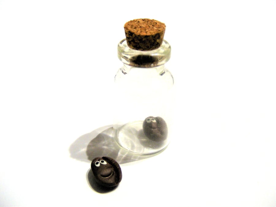 Pet Coffee bean, gift for coffee lover, barista gift