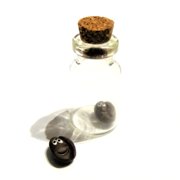 Pet Coffee bean, gift for coffee lover, barista gift