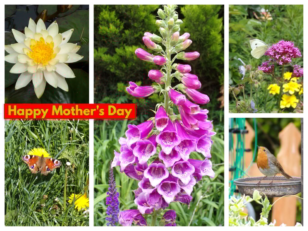 Happy Mother's Day Garden Card A5