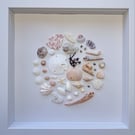 Coastal Shell Collage