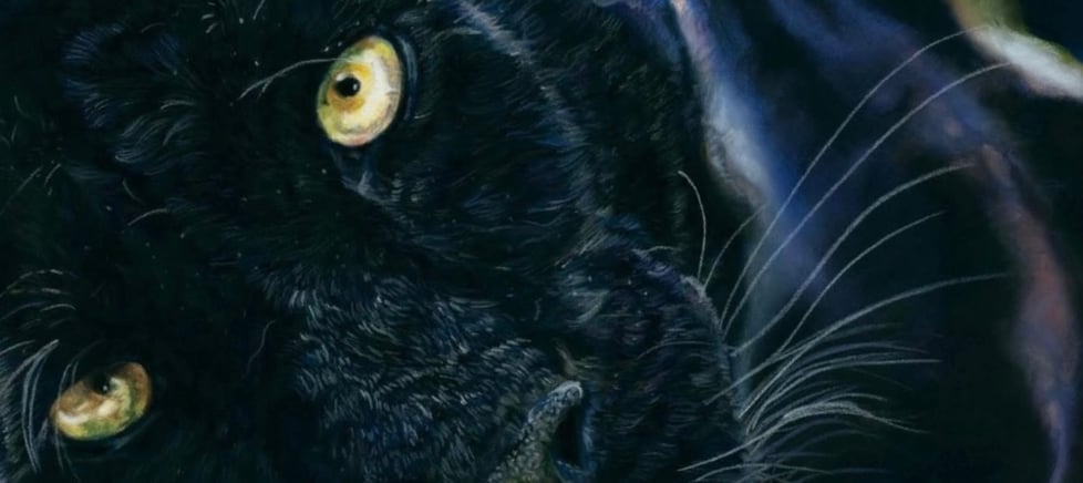 Amanda Smith-Mitchell Artwork