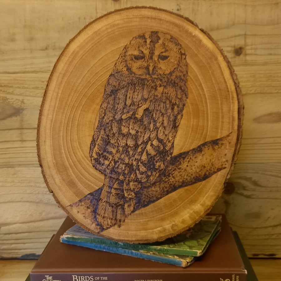 Pyrography Tawny Owl wood slice hanging decoration