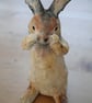 Wild Rabbit - Image 1