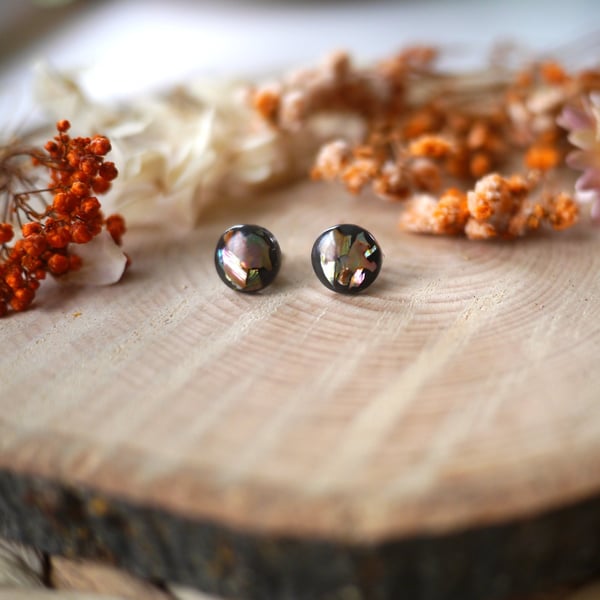 Amber Abalone Shell and Resin Stainless Steel Silver Studs