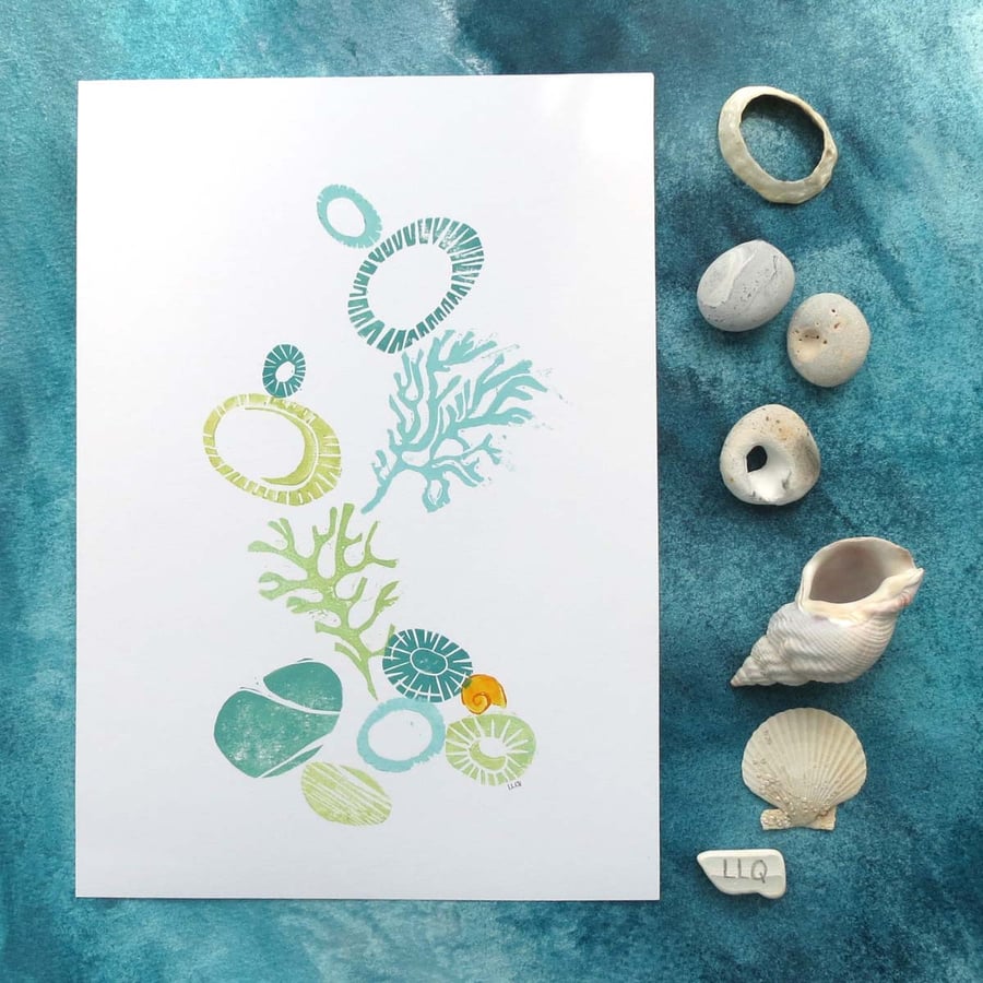 Lino print rockpool series sea shells, seaweed and pebbles seaside coastal art