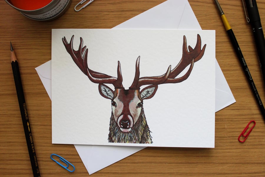 Stag Greeting Card - Blank Greeting Card, Wildlife Art Card, Free UK Post