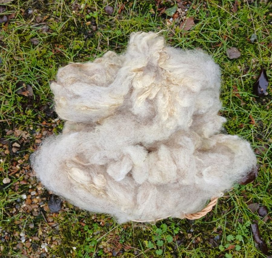 Red Fox Fleece 50g