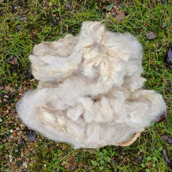 Red Fox Fleece 50g
