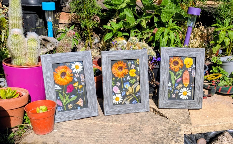 3x Pressed Flower Collages 7.5" x 5.5" frames 