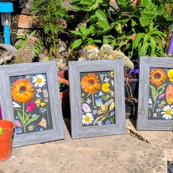 3x Pressed Flower Collages 7.5" x 5.5" frames 