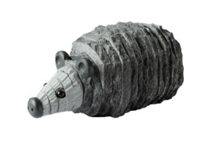 Slate Hedgehog
