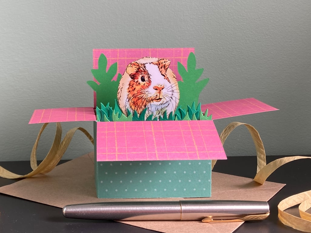 Guinea pig Box Card. Blank or Personalised Guinea Pig Card 3D gift card holder.